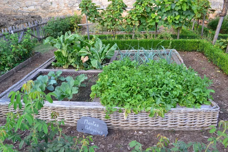 organic garden